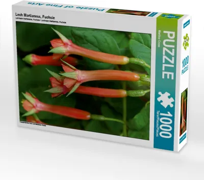Produktbild von Calvendo Lech Martianess, Fuchsie 1000 Teile Puzzle hoch 480x640mm, Cross Martina; 7315536