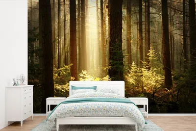 Produktbild von MuchoWow® Fototapete für Wohnzimmer oder Schlafzimmer Wandtapete Vinyl Motivtapete Wald - Bäume - Sonne - 450x300 cm - Gemusterte