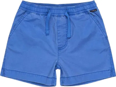 Image de Maillot de bain Quiksilver EQKWS03219-BQV0 pour Garçon