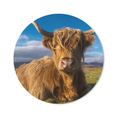 Produktbild von MuchoWow® Mauspad Mousepad Schottische Highlander - Licht - Natur 30x30 cm - Mousepads - Maus Mat - Pad - Mausunterlage - Tischunterlage - Schreibtischmatten