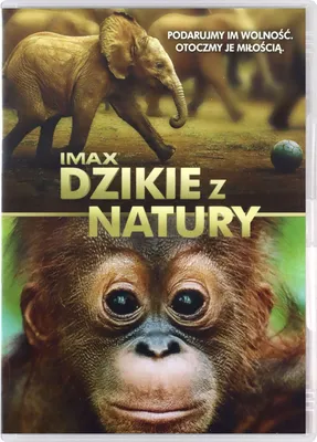 Produktbild von Born to Be Wild (nur Originalversion) [DVD]