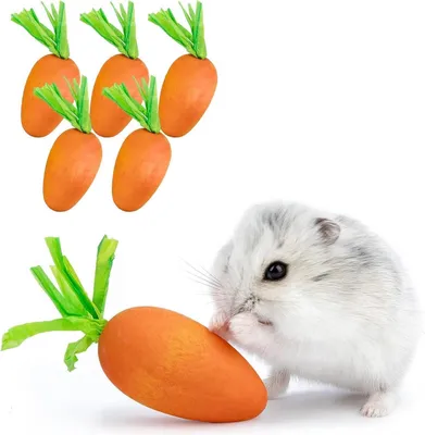 Produktbild von Niteangel Karotten Hamster-Kau- und Dekorationsspielzeug (6