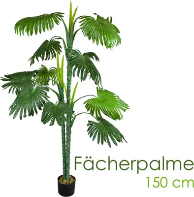 Produktbild von künstliche Pflanze, als Deko Wohnzimmer, Kunstpflanzen groß, Plastik wie echt, Decovego, Auswahl Palme Pflanze:Palme Modell 20 (Fächerpalme 150 cm)