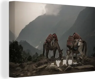 Produktbild von OneMillionCanvasses® - Leinwandbilder - 140x90 cm, Esel auf einem Bergpfad, Wandbilder Kunstdruck Wanddekoration - Foto auf Leinwand - Gemälde auf Holzrahmen