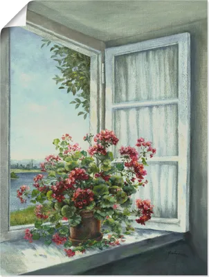 Produktbild von ARTland Poster Geranien am Fenster Größe: 90x120 cm