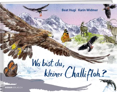 Produktbild von Wo bist du, kleiner Challifloh?