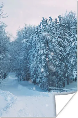 Produktbild von MuchoWow® Poster Wald - Schnee - Winter 40x60 cm - Plakate für die Wand - Poster Babyzimmer