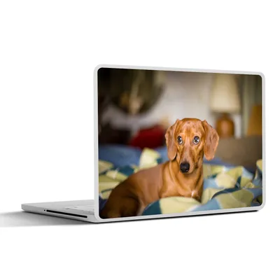 Produktbild von MuchoWow® Laptop Aufkleber Sticker Cover Dackel liegend auf einem Bett 36.5x27.5 cm - Laptop-Sticker
