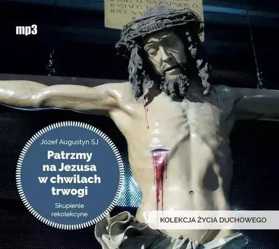 Produktbild von Patrzmy na Jezusa w chwilach trwogi