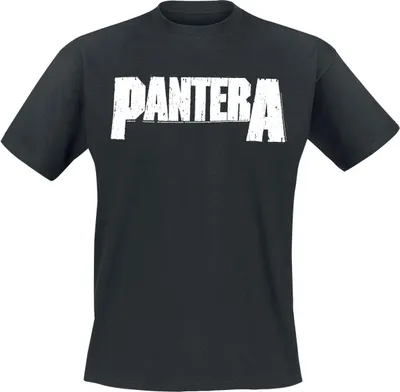 Produktbild von Pantera T-Shirt Herren Logo - Heavyweight schwarz M
