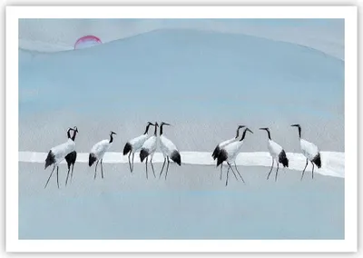 Produktbild von Poster - Poster ohne Rahmen - Vögel Kraniche Natur - 100x70 cm - Wand Bild - Wanddeko - Wandbilder - Kunstposter - Wandposter - Bilder - Kunstdruck - Wanddekoration - Wandbild - P2XAA100x70-4921