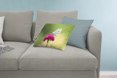 Produktbild von MuchoWow® Zierkissen Sofakissen Wohnzimmer Dekokissen 60x40 cm Kohlweißling auf einer rosa Blüte - Kopfkissen - Polster mit Foto
