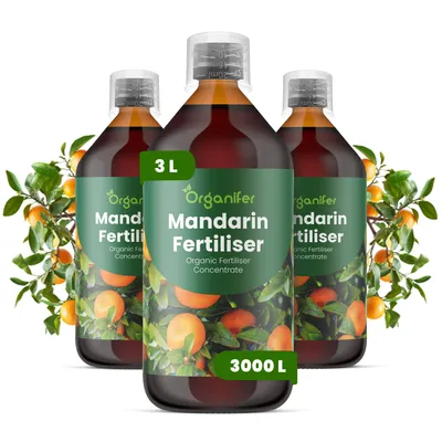Obrázek produktu pro Mandarínový Strom Tekuté Hnojivo 3x1 L – 2-1-8 NPK – Pro Mandarínové Stromy – Podporuje Bujné Květy & Zdravú Štruktúru – Organifer