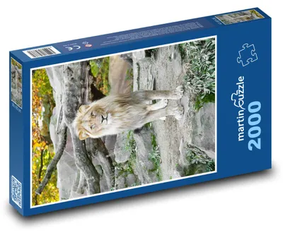 Zdjęcie produktu dla martinpuzzle - Puzzle 2000 - Lew w zoo
