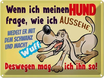 Produktbild von vianmo Blechschild 30x40 cm wenn ich meinen Hund frage Spruch Zitat