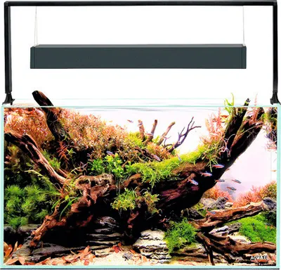 Produktbild von Aquarium AQUAEL UltraScape 60 mit LED Beleuchtung ca. 64 l OPTI-Glas, Weißglas, ohne Unterschrank forest