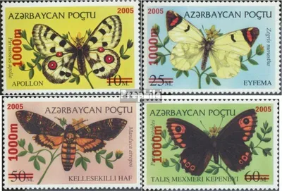 Produktbild von Briefmarken Aserbaidschan 2005 Mi 596-599 (kompl.Ausg.) postfrisch Schmetterlinge