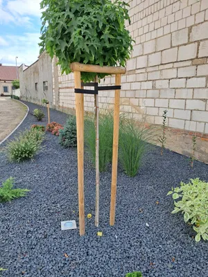 Zdjęcie produktu dla Zestaw Do Palikowania Drzewa Wys. 150Cm Średnica 5Cm