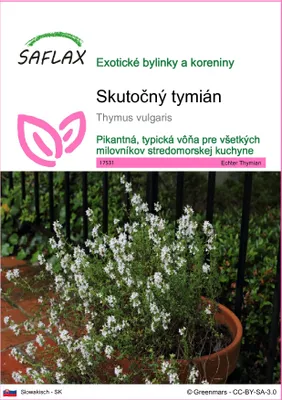 Produktbild von SAFLAX - Skutočný tymián - Thymus vulgaris - 200 Semená