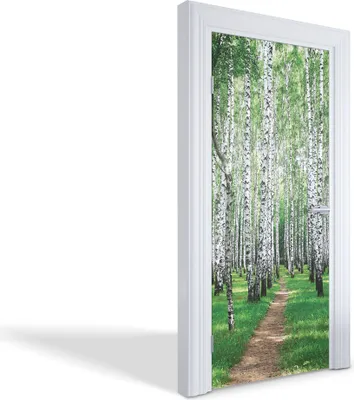 Produktbild von Türfolien Design Selbstklebende Wandsticker Türtapeten - Birkenwald - 95 x 205 cm
