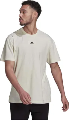 Obrázok produktu pre Tričko Adidas HE4368 pre Pánske