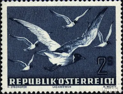 Produktbild von Briefmarken Österreich 1950 Mi 956 gestempelt Flugpost-Ausgabe