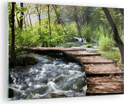 Produktbild von Bilder auf glas - Park natur grün bäume - 70x50cm - Glasbilder - Wandbilder - Kunstdruck - zum Aufhängen bereit - Wanddekoration aus Glas - Glas Bilder - Wandbild auf Glas - Einteilig - GAA70x50-0356