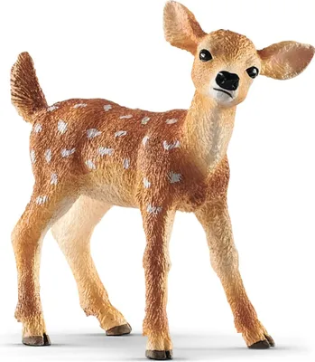 Produktbild von SLH14820 Schleich Wild Life - Weißwedelkalb, Spielfigur für Kinder ab 3 Jahren