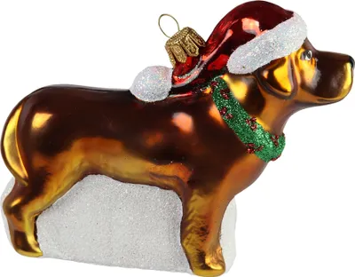 Obrázok produktu pre Čokoládový Labrador s čiapkou