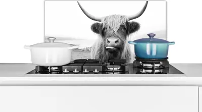 Produktbild von KitchenYeah®  Spritzschutz Küche - Küchenrückwand - Wandschutz für Herd und Spüle - Tiere - Schottisches Hochlandrind - Kuh - Schwarz - Weiß 60x30 - Alu-Dibond (Alternative zum Spritzschutz aus Glas)