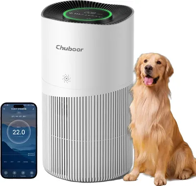 Obrázek produktu pro Čistička vzduchu, filtr HEPA H13, pokrytí až 120 m², Wi-Fi, 5 kg