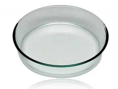 Immagine prodotto di Stampo a goccia in vetro da 25 cm Pyrex 828B000/5046