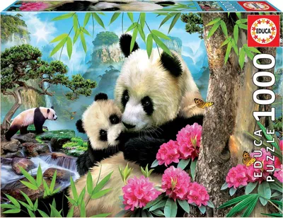 Obrázok produktu pre Educa Morning Panda, 1000 kusov, Zvierat, 12 rok / roky