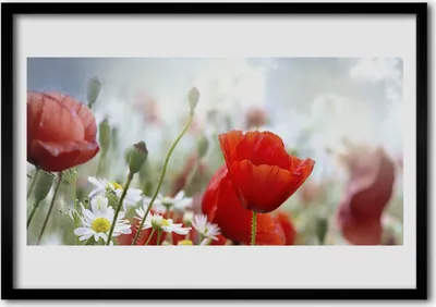 Produktbild von Bild 70x50 MDF-Rahmen Wandkunst Blumen Blütenblätter Pflanze