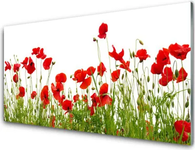 Produktbild von Acrylglasbilder 100x50 Wandbild Druck Wiese Mohnblumen Natur