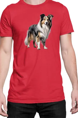 Produktbild von Herren T-Shirt Dogs Breeds Collie Dog Breed 006, Man S / Rot
