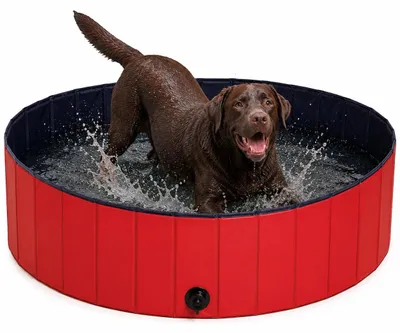 Immagine prodotto di piscina per cani pieghevole lionto, vasca per bambini in PVC resistente, antigraffio e antiscivolo, con valvola di scarico, diametro 160 cm, altezza 30 cm