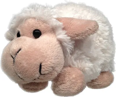 Image de Peluche 20 cm