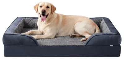Image de Lit orthopédique pour chiens de grande taille