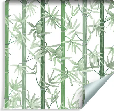 Zdjęcie produktu dla Tapeta Dekoracja Ścienna Do Jadalni Zielony BAMBUS Drzewa Las Natura z modnym efektem 3D