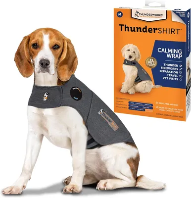 Image de T-shirt pour chien - Taille M - Gris