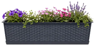 Produktbild von Prosperplast Balkon - Pflanzkubel - Anthrazit - 12 l - 70 x 17 x 15 cm