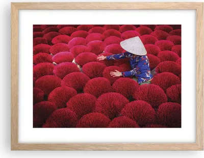 Produktbild von Gerahmtes Poster - Rahmen in heller Eiche - Trocknen Weihrauch Vietnam - 40x30 cm - Wand Bild - Wanddeko - Wandbilder - Kunstposter - Wandposter - Bilderrahmen - Bilder - Kunstdruck - P2NAA40x30-4655