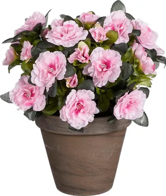 Zdjęcie produktu dla Mica Decorations Azalia sztuczna roślina w doniczce Stan - H31 x Ø26 cm - Różowy