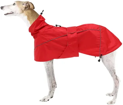 Produktbild von Wasserdichte Winterjacke für Hunde mit Fleece-Futter