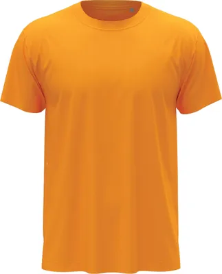 Image de T-shirt classique pour hommes Stedman AB269 (3XL) (Or)