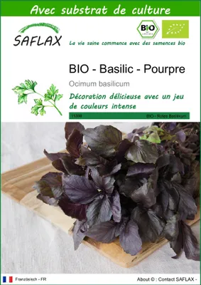 Image de SAFLAX -- Basilic - Pourpre - 400 graines - Avec substrat - Ocimum