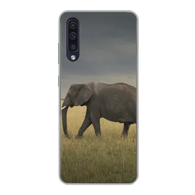 Produktbild von MuchoWow® Handyhülle Schutzhülle Hülle für Samsung Galaxy A30s Elefant - Savanne - Tiere - Natur Silikon Softcase Handy Hülle - Karteninhaber