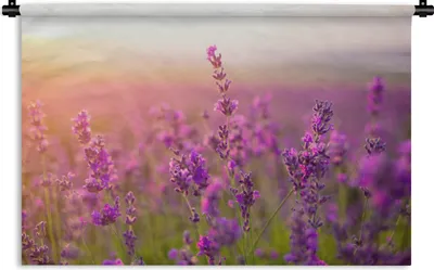 Produktbild von MuchoWow® Wandteppich Wandbehang Lavendel - Frühling - Lila 90x60 cm Tapisserie Dekoration Wandtuch - Wandskulpturen - Bildteppich