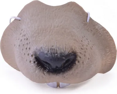 Produktbild von Mouse Nose - Size Einheitsgröße